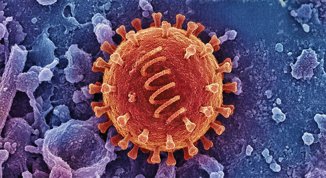 Virus Nipah: Cảnh giác nhưng không hoang mang